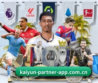 kaiyun-partner-app.com.cn APP